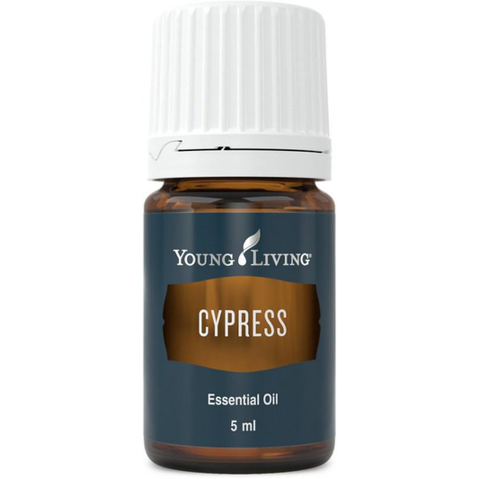 Cypress Essential Oil | Be Vivid You