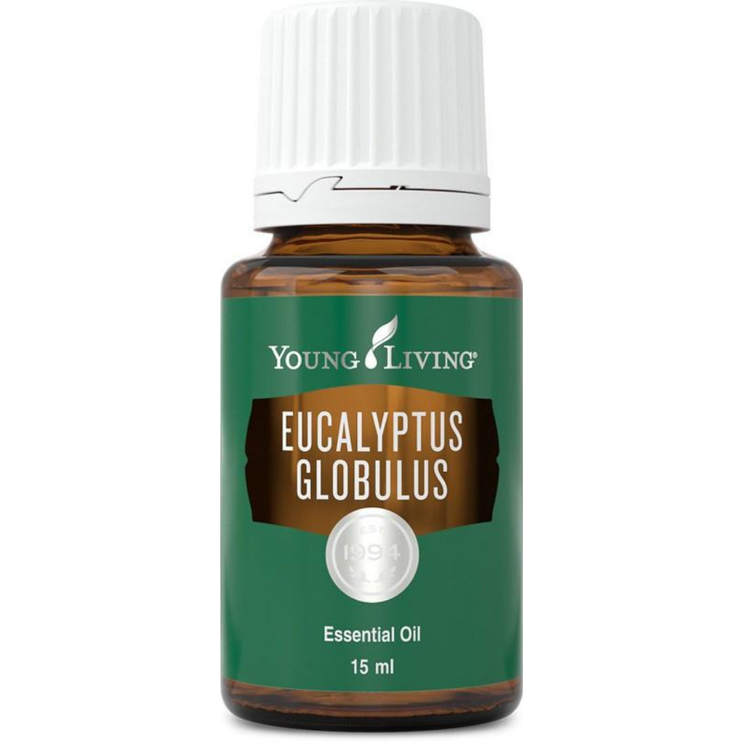 Eucalyptus Globulus Essential Oil | Be Vivid You