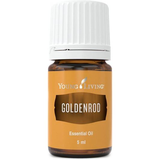 Goldenrod Essential Oil | Be Vivid You