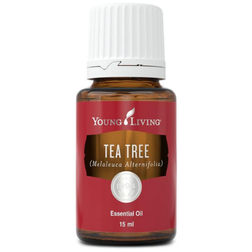 Tea Tree Essential Oil (15 ml)